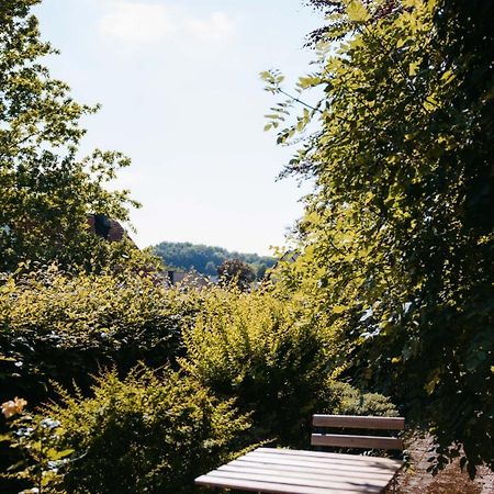 Ferienwohnung Kurpark Brilon Am Rothaarsteig 外观 照片